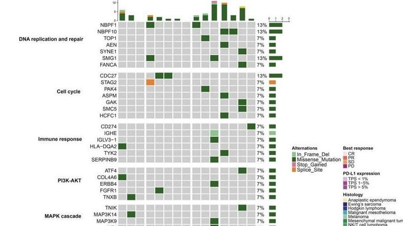 ��ҳ|ng������Ϸ�й����Źٷ���վ