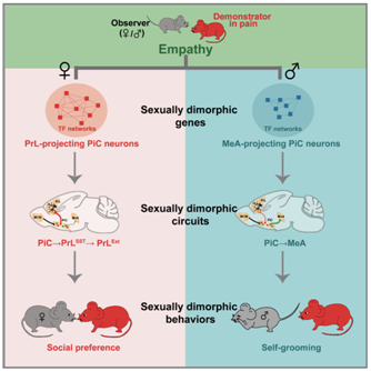 ��ҳ|ng������Ϸ�й����Źٷ���վ