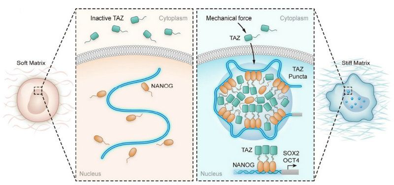 ��ҳ|ng������Ϸ�й����Źٷ���վ