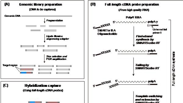 ��ҳ|ng������Ϸ�й����Źٷ���վ