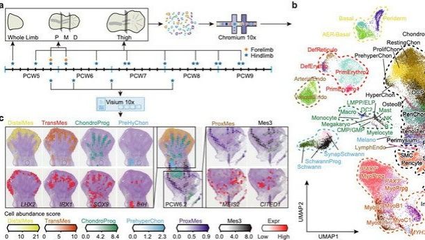 ��ҳ|ng������Ϸ�й����Źٷ���վ