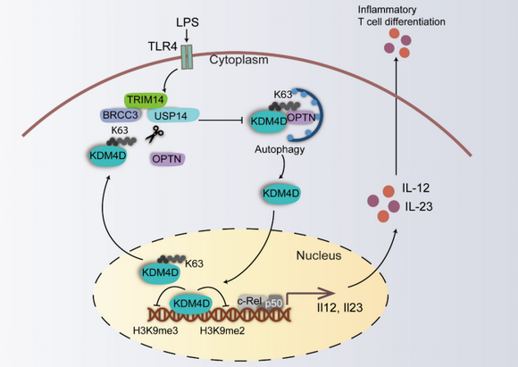 ��ҳ|ng������Ϸ�й����Źٷ���վ