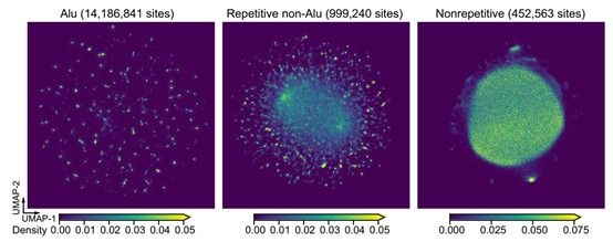 C8D0E4C92917E543861BD012B1D_E0007473_664D C8D0E4C92917E543861BD012B1D_E0007473_664D