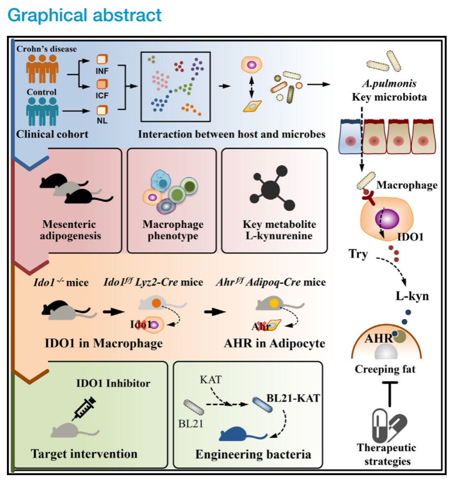7FB26353A17BAD5C9E45DD404A7_D3D32CDA_B57D1