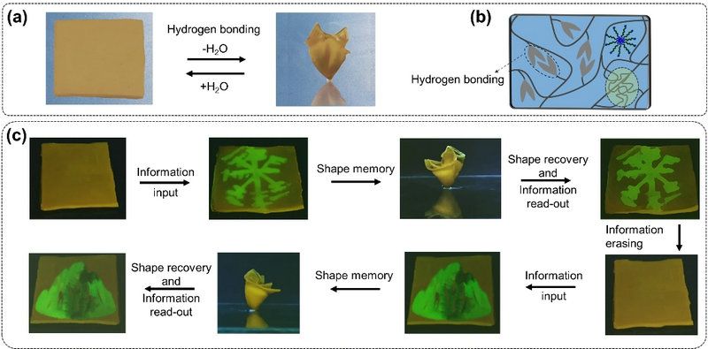 56700701AE6C6DA2EB6A7A5B68F_A93325F6_E856 56700701AE6C6DA2EB6A7A5B68F_A93325F6_E856
