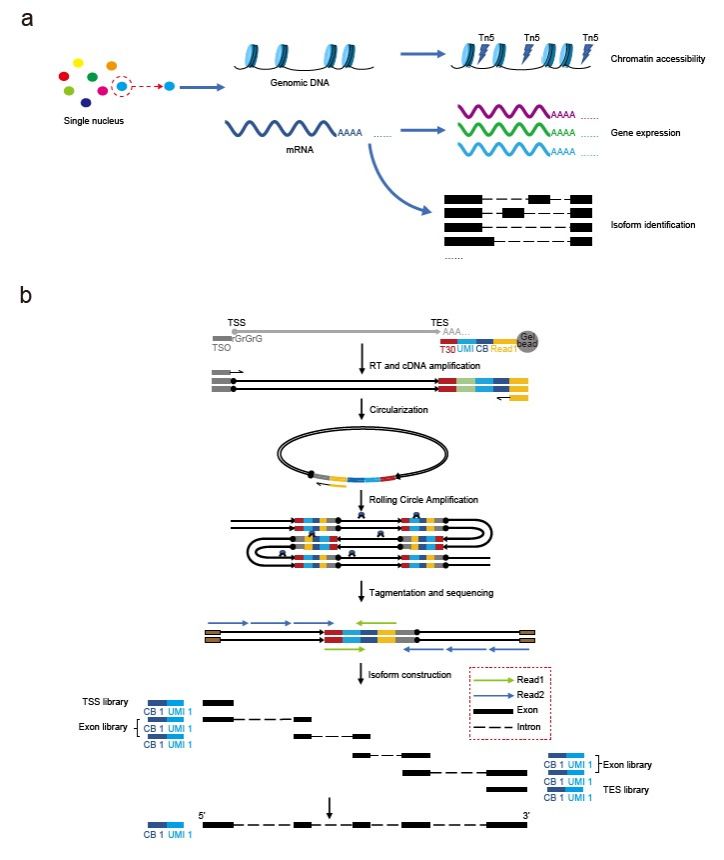 E63DBAF144E03305256A93E392A_016E9A81_DDA1 E63DBAF144E03305256A93E392A_016E9A81_DDA1