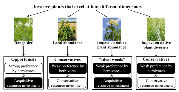 ��ҳ|ng������Ϸ�й����Źٷ���վ