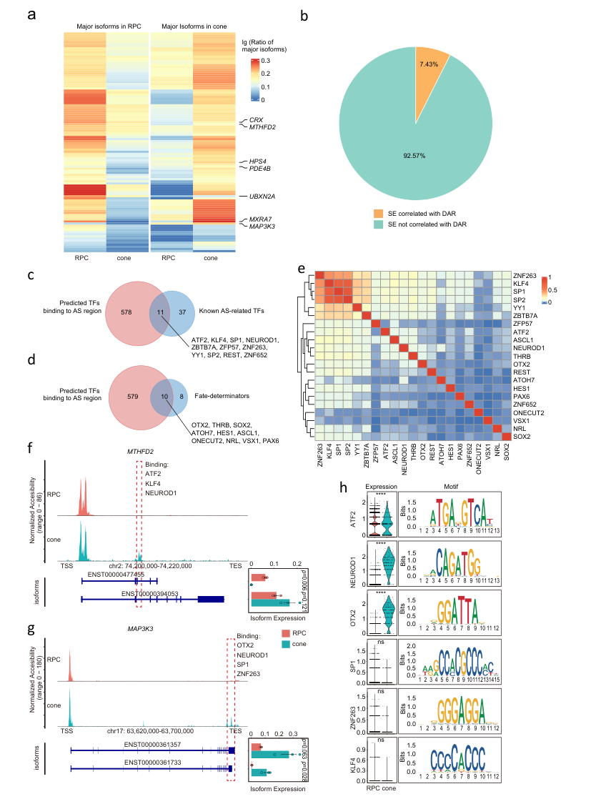 6306E757C46BDA772A668401164_137A2BEF_2A3B1 6306E757C46BDA772A668401164_137A2BEF_2A3B1