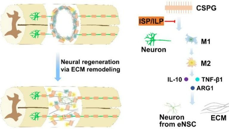 ��ҳ|ng������Ϸ�й����Źٷ���վ