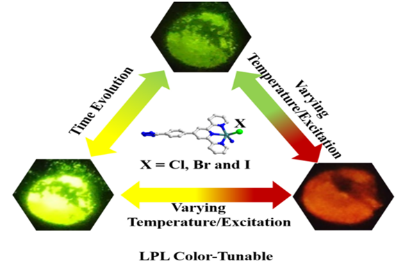 ��ҳ|ng������Ϸ�й����Źٷ���վ