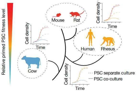 ��ҳ|ng������Ϸ�й����Źٷ���վ