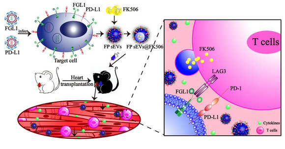 ��ҳ|ng������Ϸ�й����Źٷ���վ