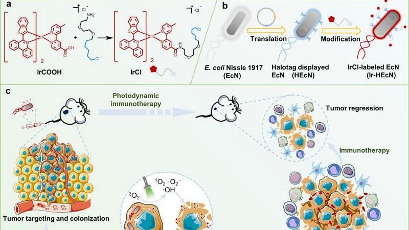 ��ҳ|ng������Ϸ�й����Źٷ���վ