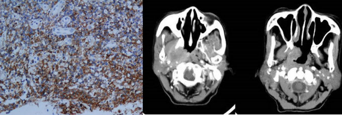 ��ҳ|ng������Ϸ�й����Źٷ���վ