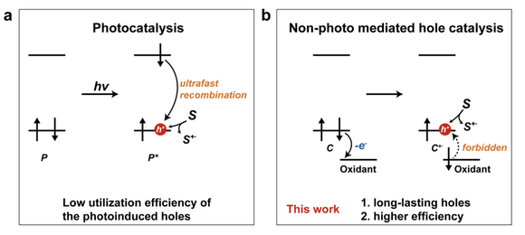 64B20BE58C2435254C58554AFE6_0A03F2C2_B30E.png?e= Ê×Ò³|ngµç×ÓÓÎÏ·Öйú¼¯ÍŹٷ½ÍøÕ¾