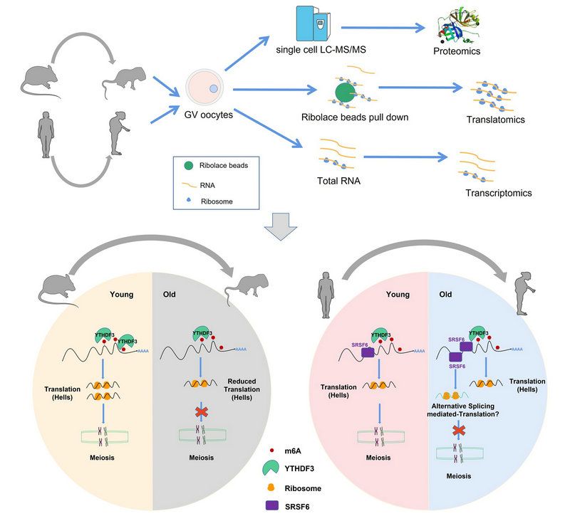 ECA53AEEADC5A76C1762B71ABA6_75283F42_F90A