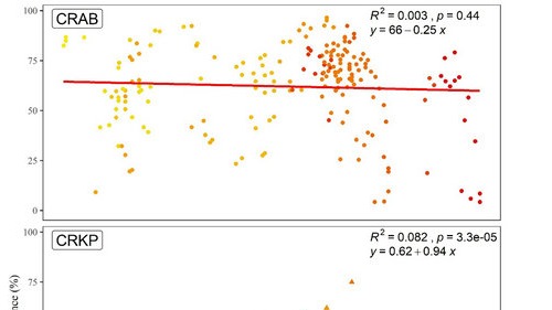 ��ҳ|ng������Ϸ�й����Źٷ���վ