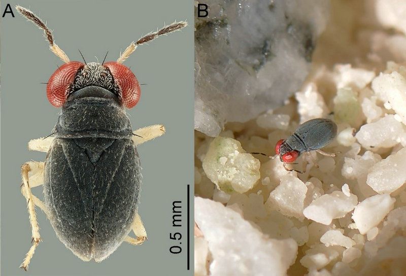 BC95FA8DE88C9AFD9BF524A6BF6_D17B4828_1110D