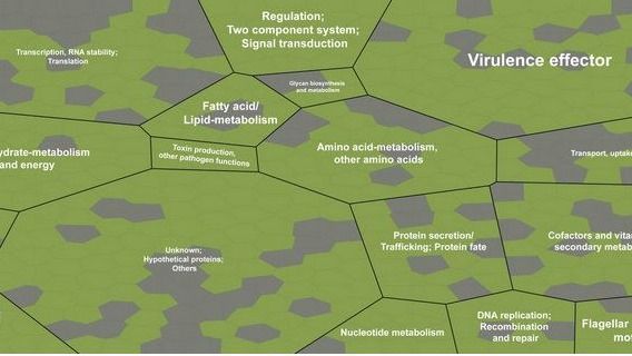 ��ҳ|ng������Ϸ�й����Źٷ���վ