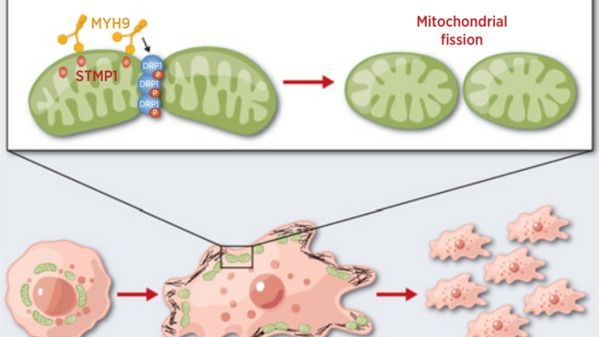 ��ҳ|ng������Ϸ�й����Źٷ���վ