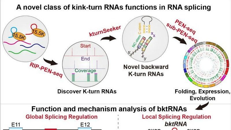 ��ҳ|ng������Ϸ�й����Źٷ���վ