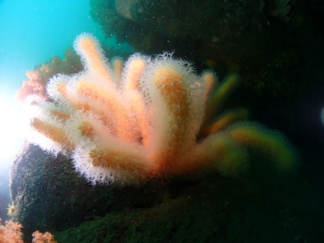 ��ҳ|ng������Ϸ�й����Źٷ���վ