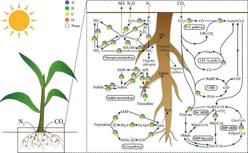 4A04880AFD3F0A57635D858AA67_1150224E_146EF