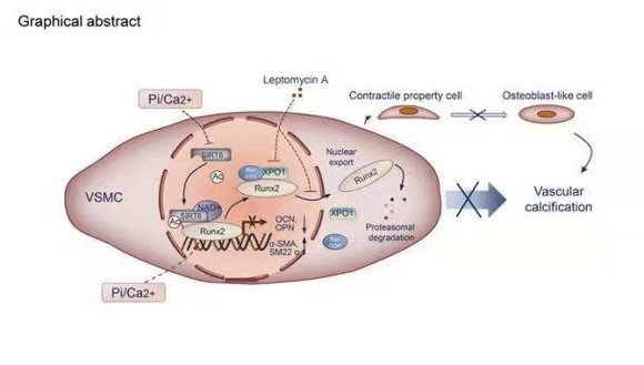 ��ҳ|ng������Ϸ�й����Źٷ���վ