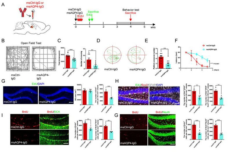 964F07113C435B7900A2CA3D35E_E26A8240_13B3D