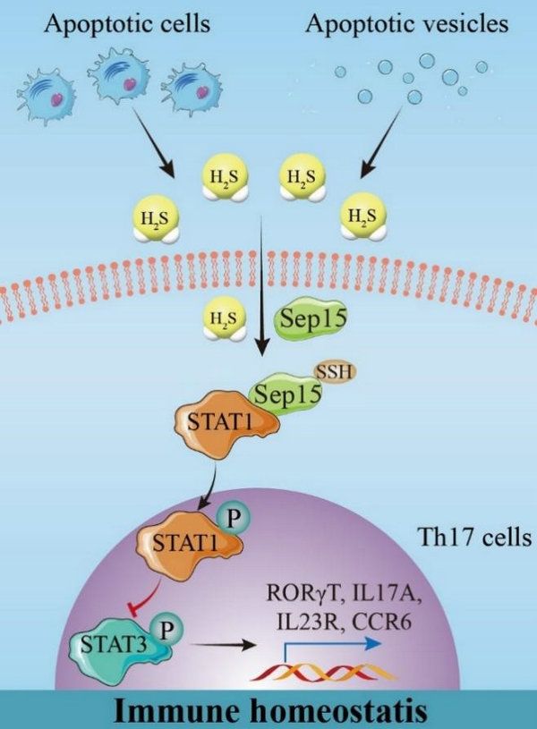 CAF22789CBEB96BCA9982DD8ED6_286046EE_E340