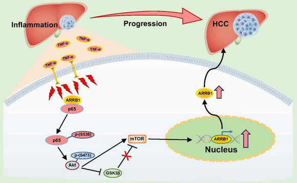 ��ҳ|ng������Ϸ�й����Źٷ���վ