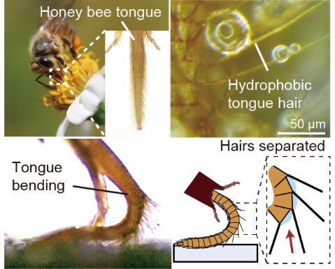 ��ҳ|ng������Ϸ�й����Źٷ���վ