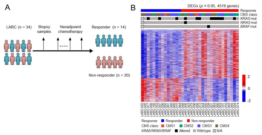 6FF5D38C55AF518B01975571458_54E85BA3_1B0E2