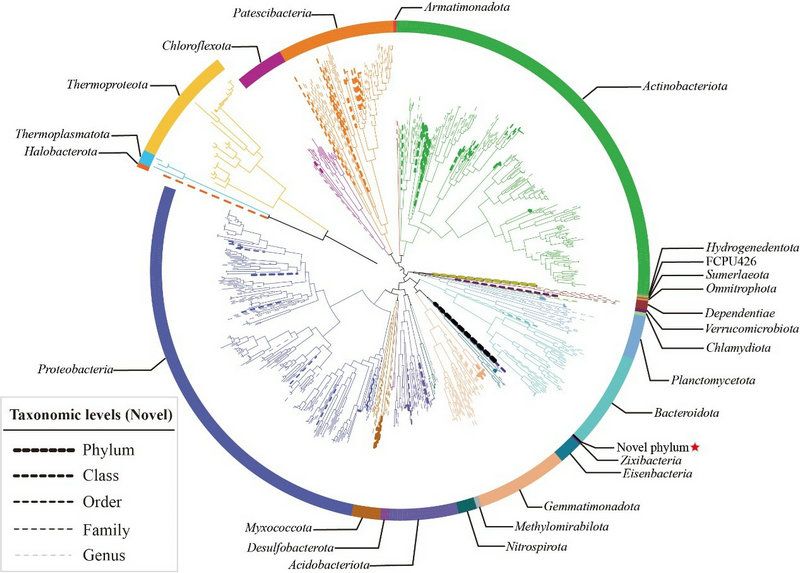 6D3FE00FE857BBAFFA7BC41744E_10517CFA_131FB