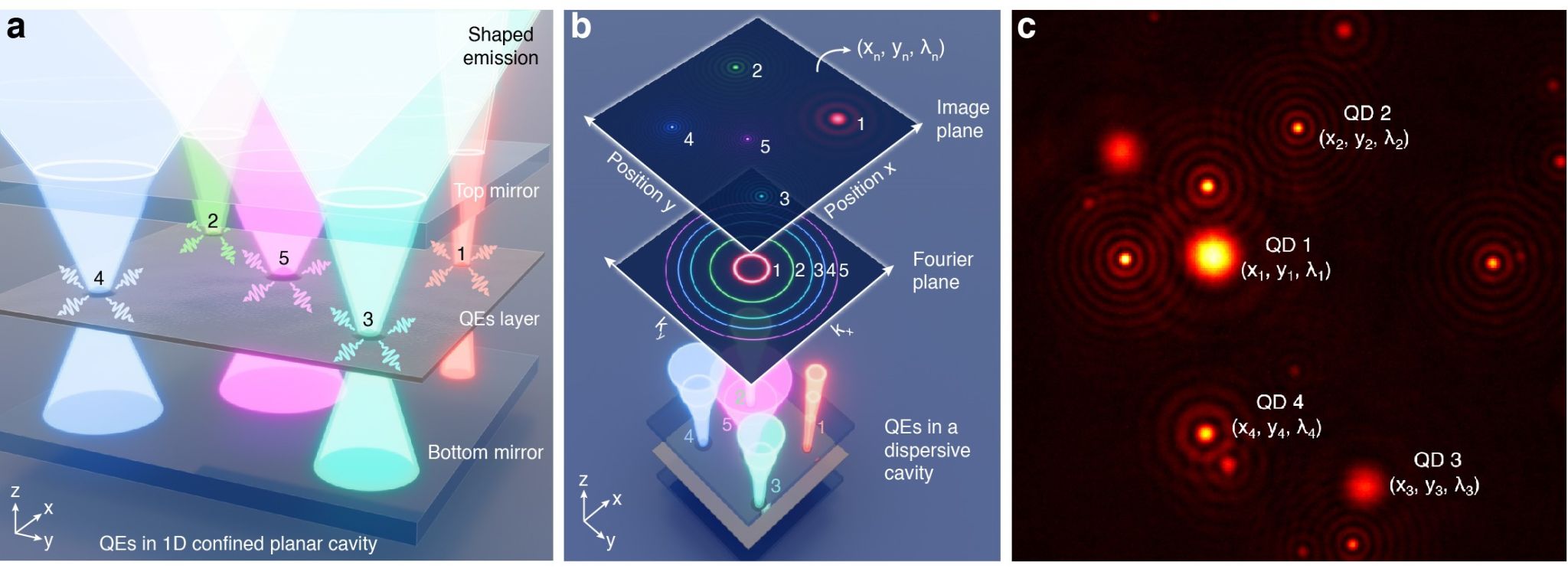 1291D8B7DCE89A6530FD89D2D21_AD5CA576_2298C