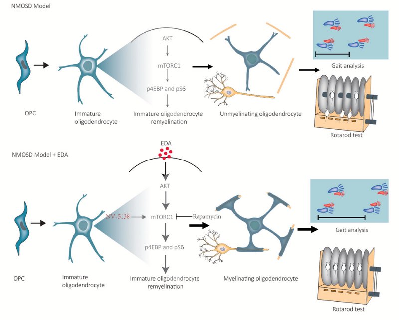 41D6B0DAA5F35B3CA47598D6761_B5CA2003_47770