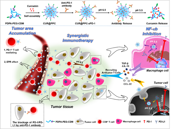 ��ҳ|ng������Ϸ�й����Źٷ���վ