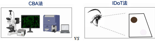 33AAB83FCA052EFE04685D3E21A_9AEAC01B_326E