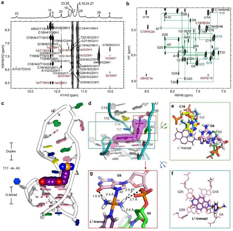 62B861F2B9DF491083BF5E5D34B_FBD8EDAA_1E394