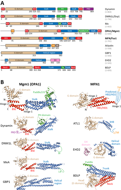 449FB06E1399ECCDADE00EC5854_98A46B58_2DCEB.png?e= Ê×Ò³|ngµç×ÓÓÎÏ·Öйú¼¯ÍŹٷ½ÍøÕ¾
