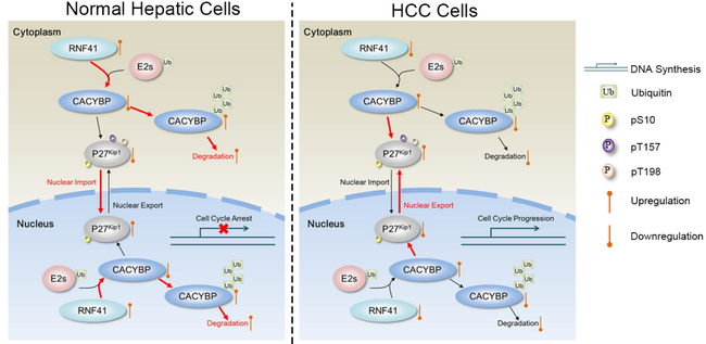 ��ҳ|ng������Ϸ�й����Źٷ���վ