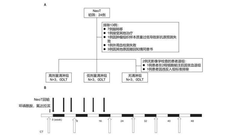 8EFA50B9611462F9218D196CCF2_E26873E6_79CA