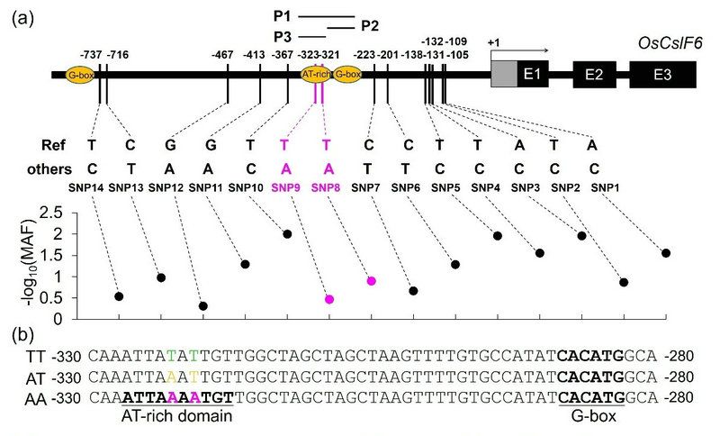 749C23CEFB83AF58E843AF12591_1D606C31_11F7E
