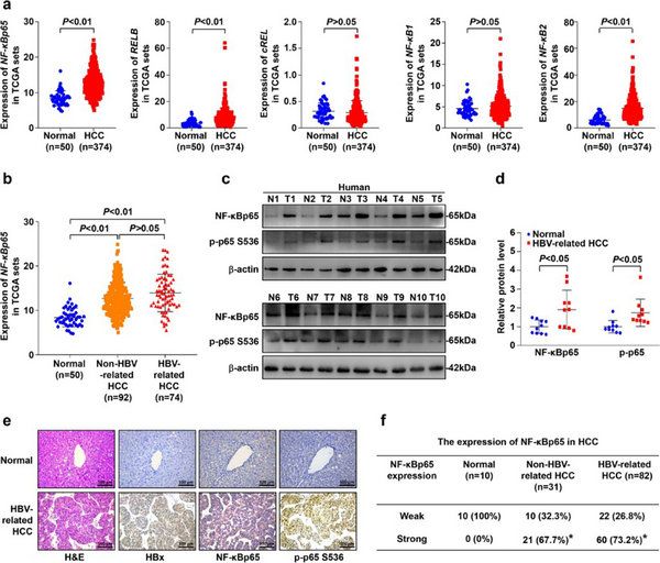 2D20B37F5643ADAAF1B665F012C_B91A1818_11570 2D20B37F5643ADAAF1B665F012C_B91A1818_11570