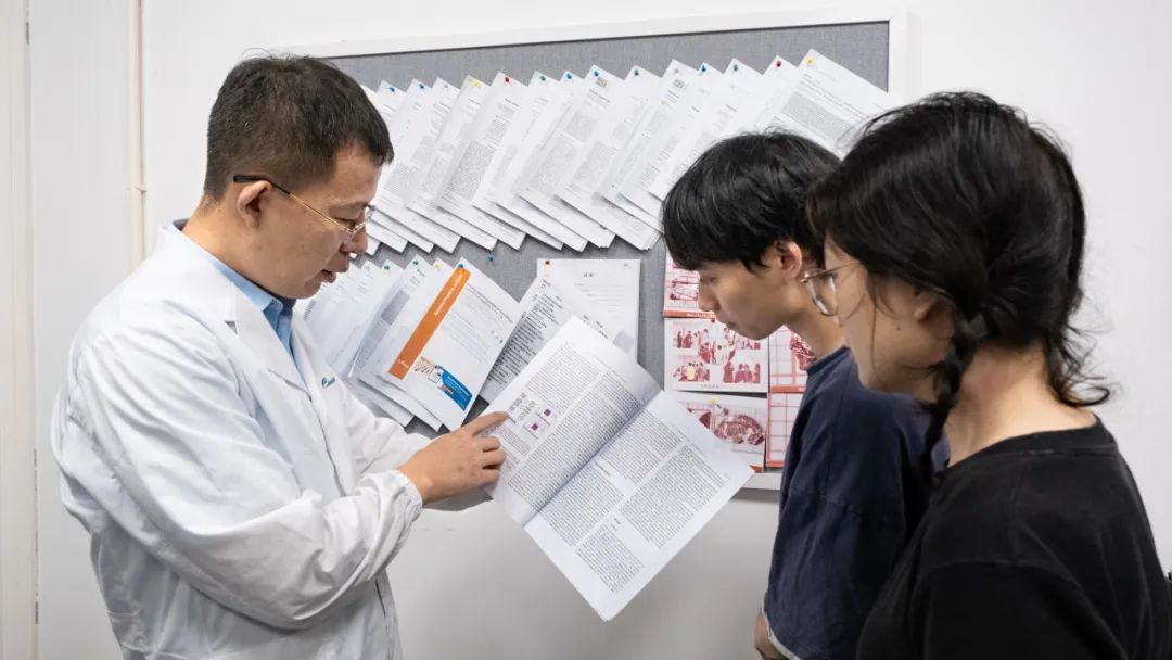 E69C6F611E1FDE5461B5DD4A975_D5B728E4_130E3