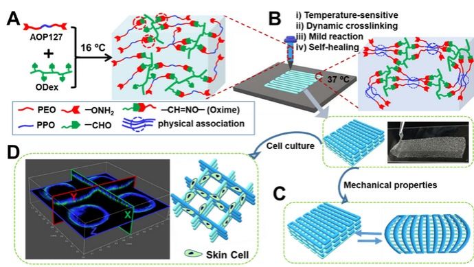 ��ҳ|ng������Ϸ�й����Źٷ���վ