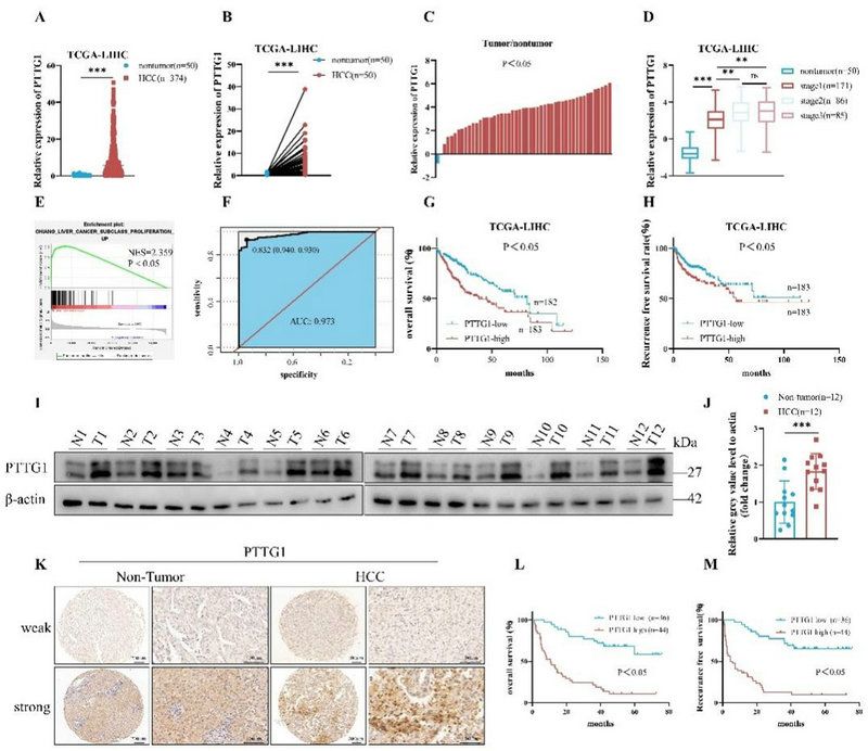 8CFD6A533FC57BCFF9BEE00FE8B_ED32952E_16947 8CFD6A533FC57BCFF9BEE00FE8B_ED32952E_16947