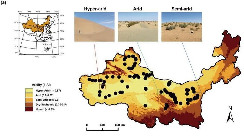 ��ҳ|ng������Ϸ�й����Źٷ���վ