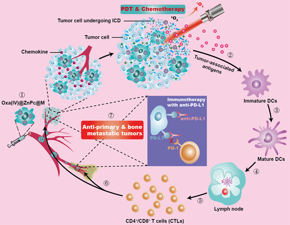 ��ҳ|ng������Ϸ�й����Źٷ���վ