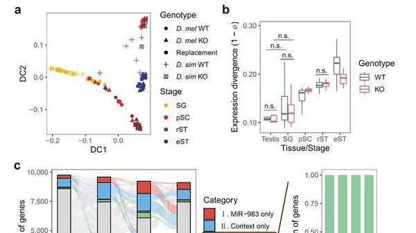 ��ҳ|ng������Ϸ�й����Źٷ���վ